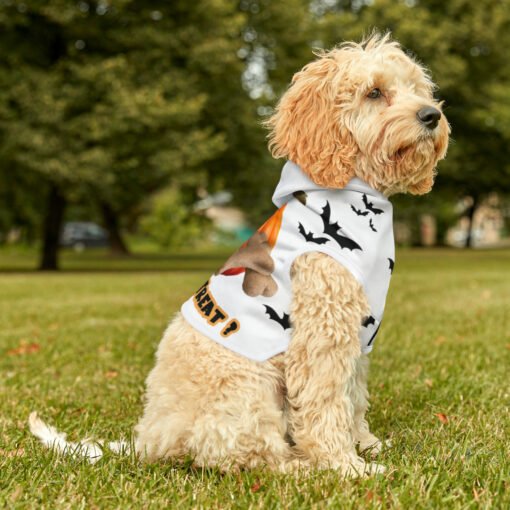 Dog Halloween Costume Hoodie Halloween Cat Costume Hoodie Pumpkin and Bone Trick or Treat - Image 8