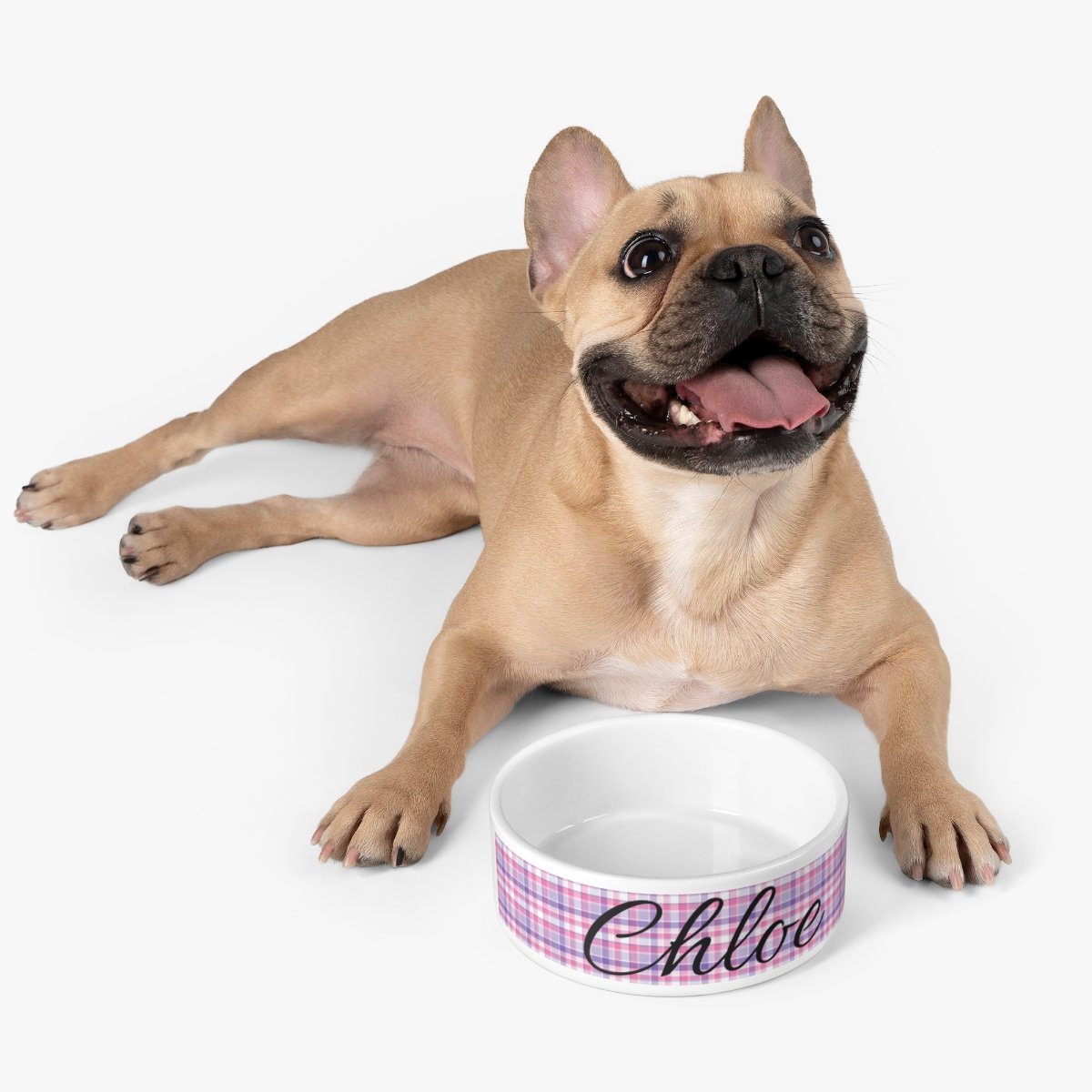 Personalized Dog Bowl - Extra Large Size - Ceramic Bowl – Susabella